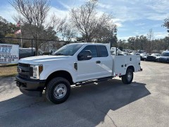 BUY FORD SUPER DUTY F-250 SRW 2019 XL, afetrucks